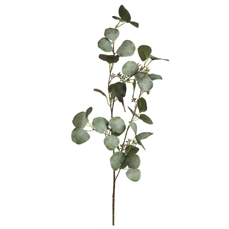 Tall Eucalyptus Branch With Seeds Grey Green image number 0